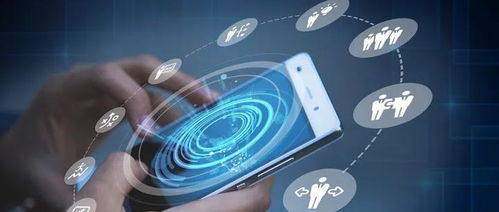 素質教育新賽道 教育部公示37項全國性競賽，教培行業轉型聚焦技術服務